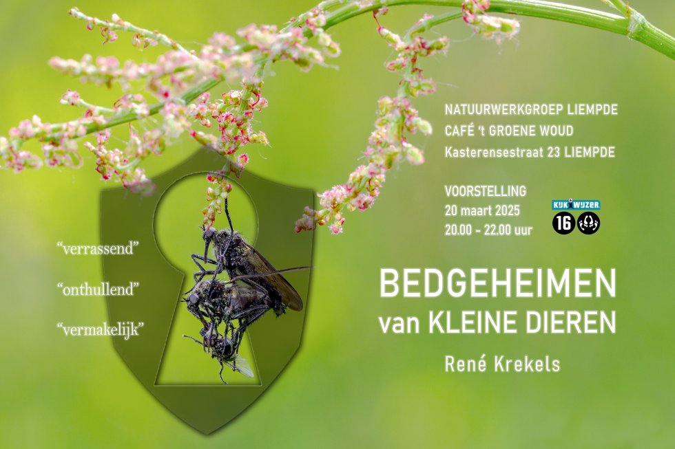 Lezing Bedgeheimen van Kleine Dieren door René Krekels